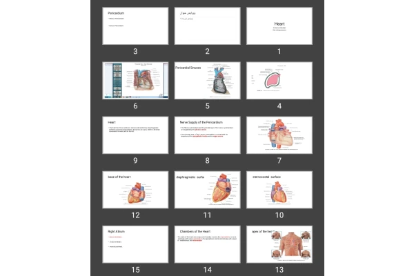 پاورپوینت Heart