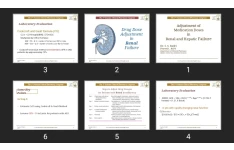 پاورپوینت Adjustment of Medication Doses in Renal and Hepatic Failure