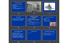 پاورپوینت TPN