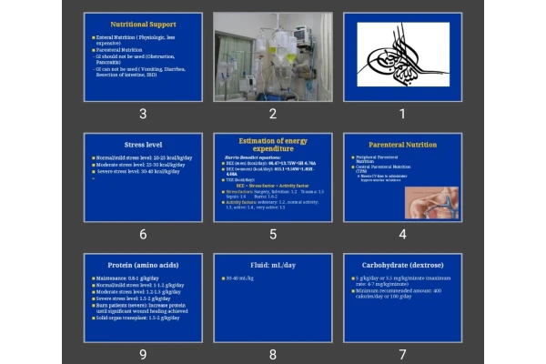 پاورپوینت TPN