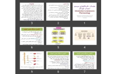 پاورپوینت مقدمات فارماکولوژی سیستم اعصاب خودکار Introduction to Autonomic Pharmacology