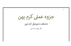 جزوه عملی کرم پهن دکتر قره داغی - ۳۶ صفحه