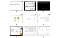 پاورپوینت تک ياخته های روده ای (تاژکداران دستگاه گوارش و تناسلی)