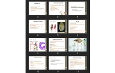 پاورپوینت OVARIAN pathology