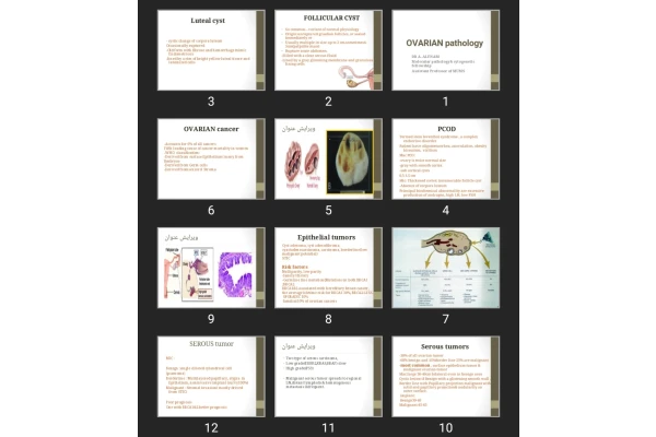 پاورپوینت OVARIAN pathology
