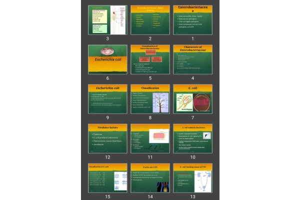 پاورپوینت Escherichia coli