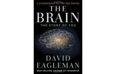 The Brain: The Story of You-کتاب انگلیسی