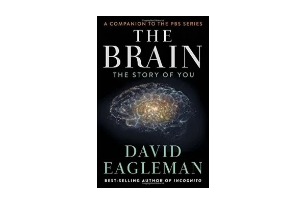 The Brain: The Story of You-کتاب انگلیسی