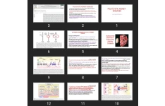 پاورپوینت POLYCYSTIC KIDNEY DISEASES