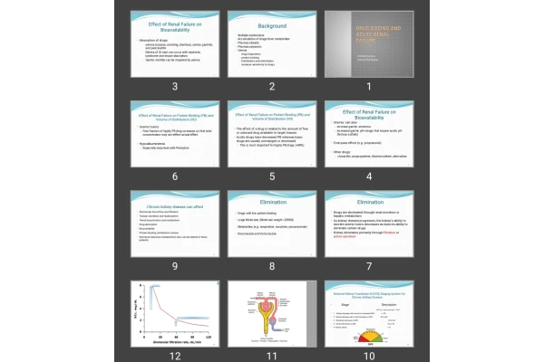 پاورپوینت Drug Dosing and acute Renal failure