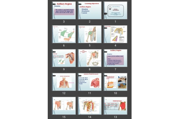 پاورپوینت آناتومی اسکلتی عضلانی Axillary Region