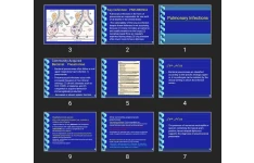 پاورپوینت Pulmonary Infections