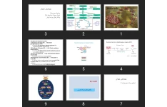 پاورپوینت Krebs cycle