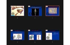 جزوه آناتومی استخوان های محوری