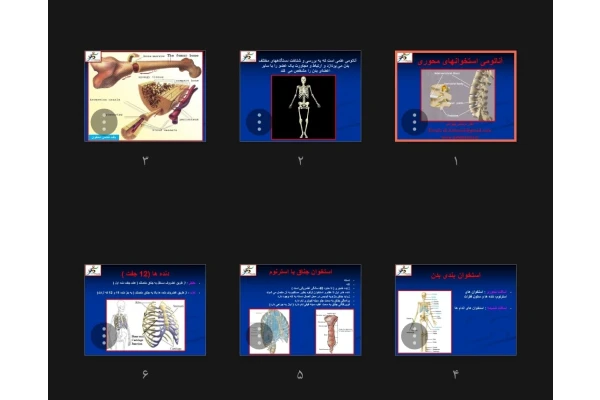 جزوه آناتومی استخوان های محوری