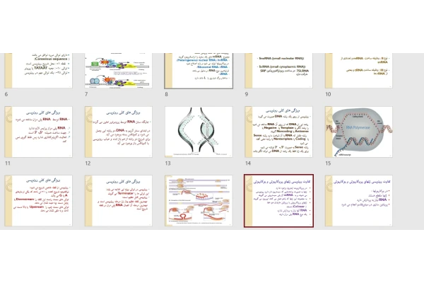 RANپزشکی