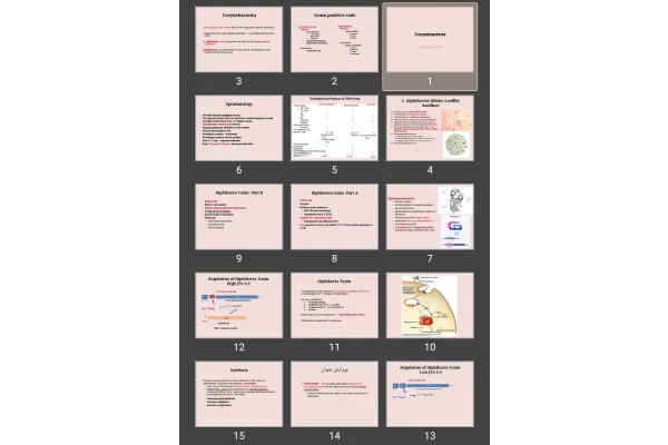 پاورپوینت corynebacterium