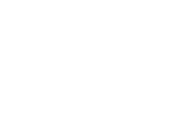 پروتکل 15