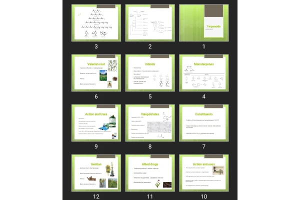 پاورپوینت Terpenoids