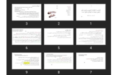 پاورپوینت آشنایی با اطلاعات کاربردی و توصیه های دارویی مربوط به داروهای مغز و اعصاب