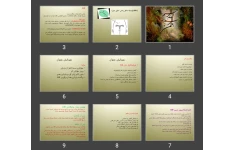 پاورپوینت تنظیم خانواده ۲