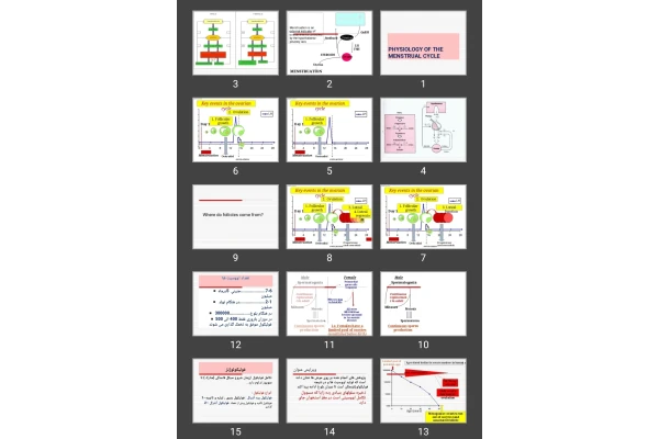 پاورپوینت PHYSIOLOGY OF THE MENSTRUAL CYCLE