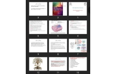 پاورپوینت Cell adaptation and Injury