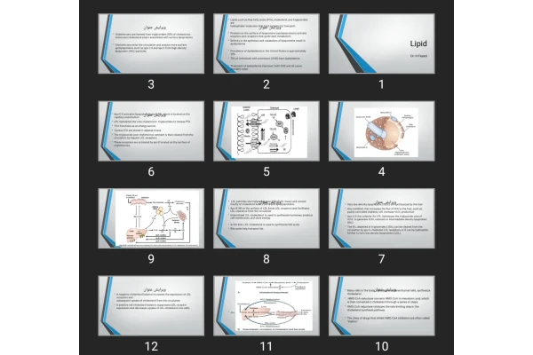 پاورپوینت Lipid