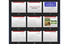 پاورپوینت شبیه سازی دام