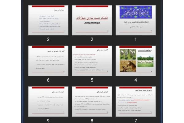 پاورپوینت شبیه سازی دام