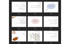 پاورپوینت بافت ها و ارگان های سیستم ایمنی