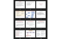 پاورپوینت Acute kidney injury (AKI)