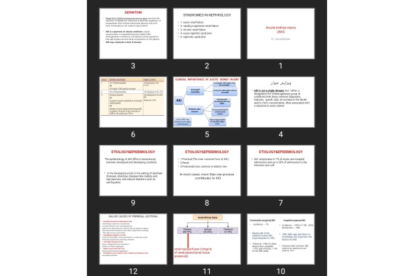 پاورپوینت Acute kidney injury (AKI)