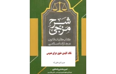 PDF جزوه نکات کلیدی حقوق جزای عمومی نکات مستخرج کتاب کلیات قانون مجازات اسلامی امین بخشی زاده