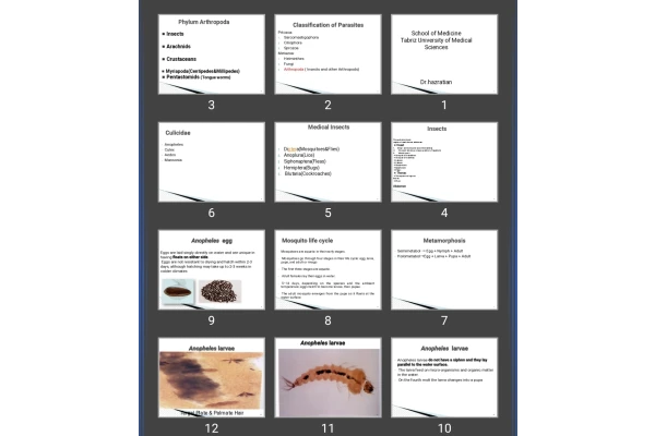 پاورپوینت Classification of Parasites