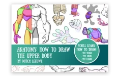 Anatomy: how to draw the Upper body by Mitch Leeuwe