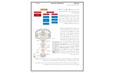 جزوه مقدمات اعصاب مبحث بیماری های نخاعی
