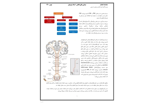 جزوه مقدمات اعصاب مبحث بیماری های نخاعی