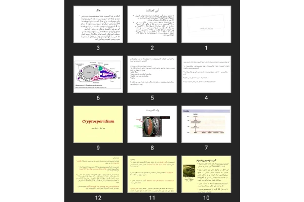 پاورپوینت آپی كمپلكسا