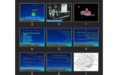 پاورپوینت معاينه نورولوژيک