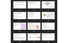 پاورپوینت Pathology Peripheral Nerves and Muscles PNS