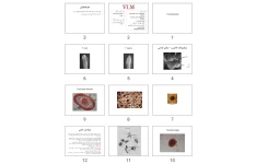 پاورپوینت VLM