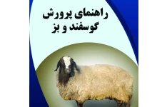 راهنمای پرورش گوسفند و بز - ۵۵۳ صفحه + کاملترین مرجع آموزشی