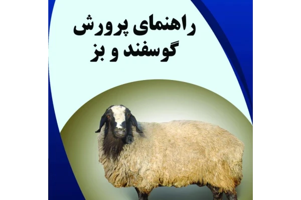 راهنمای پرورش گوسفند و بز - ۵۵۳ صفحه + کاملترین مرجع آموزشی