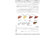 جزوه MASLD