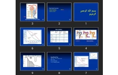 پاورپوینت فيزيولوژی کلیه جلسه دوم