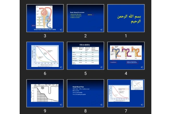 پاورپوینت فيزيولوژی کلیه جلسه دوم