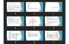 پاورپوینت Endocrinology