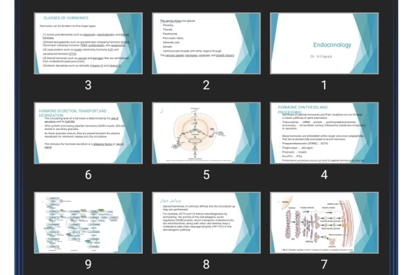 پاورپوینت Endocrinology