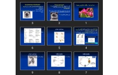 پاورپوینت Hook worm, larve migran stron